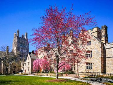 Yale University (YU)